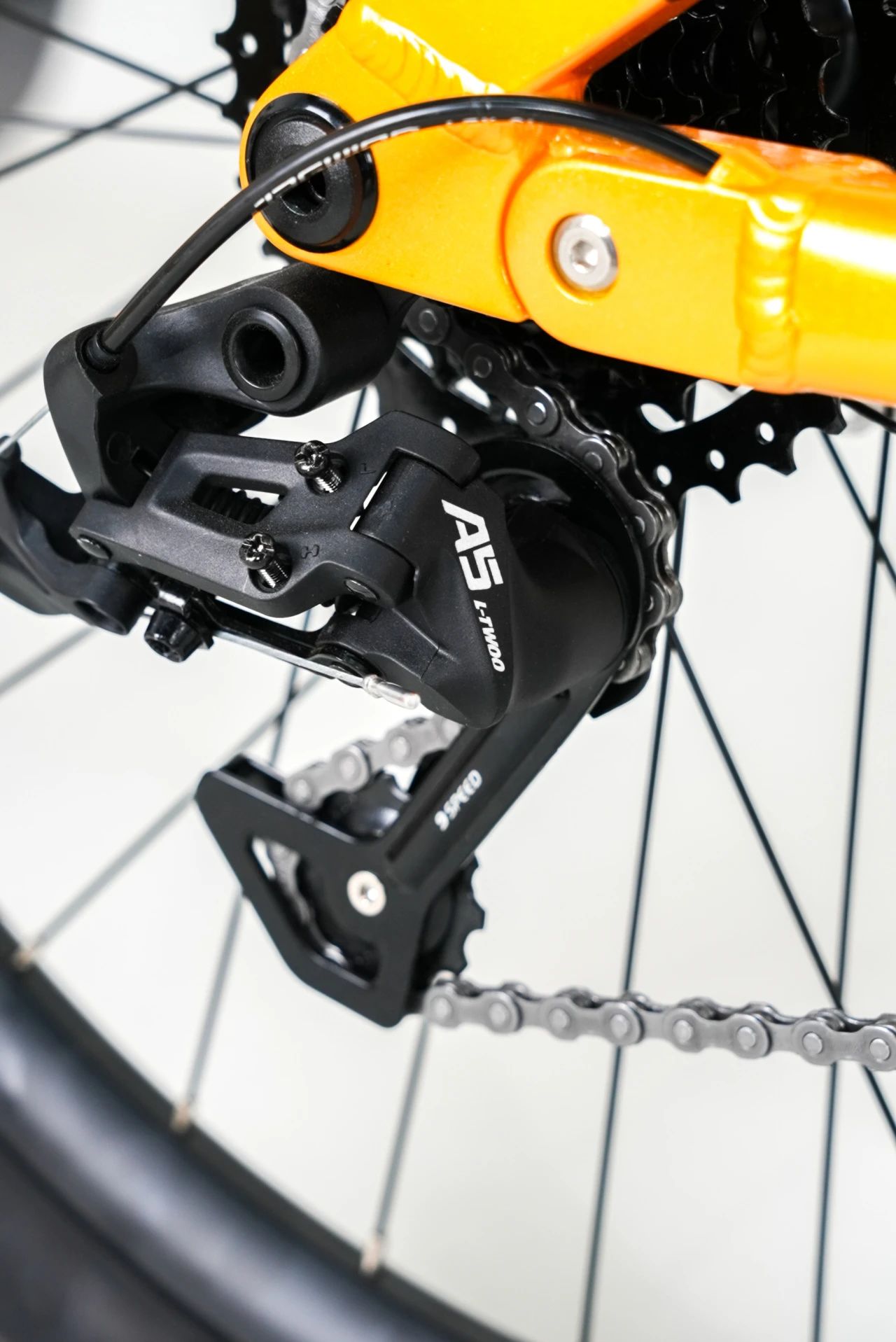 安寶細(xì)節(jié)圖